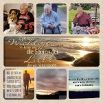 ein Bild aus dem Album